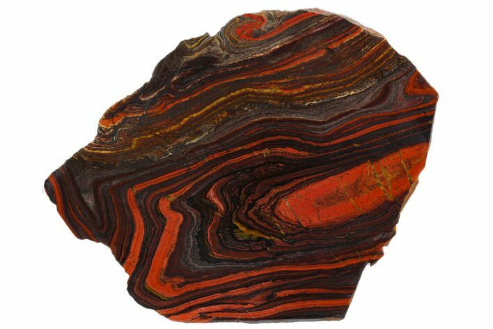 Polished Tiger Iron Stromatolite - Billion Years #129353